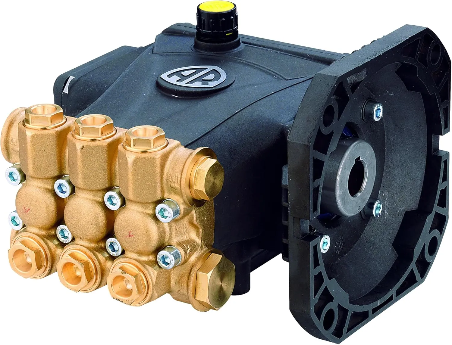 AR Annovi Reverberi Annovi Reverberi RCV3G25E-F8 Triplex Plunger Pump, Black