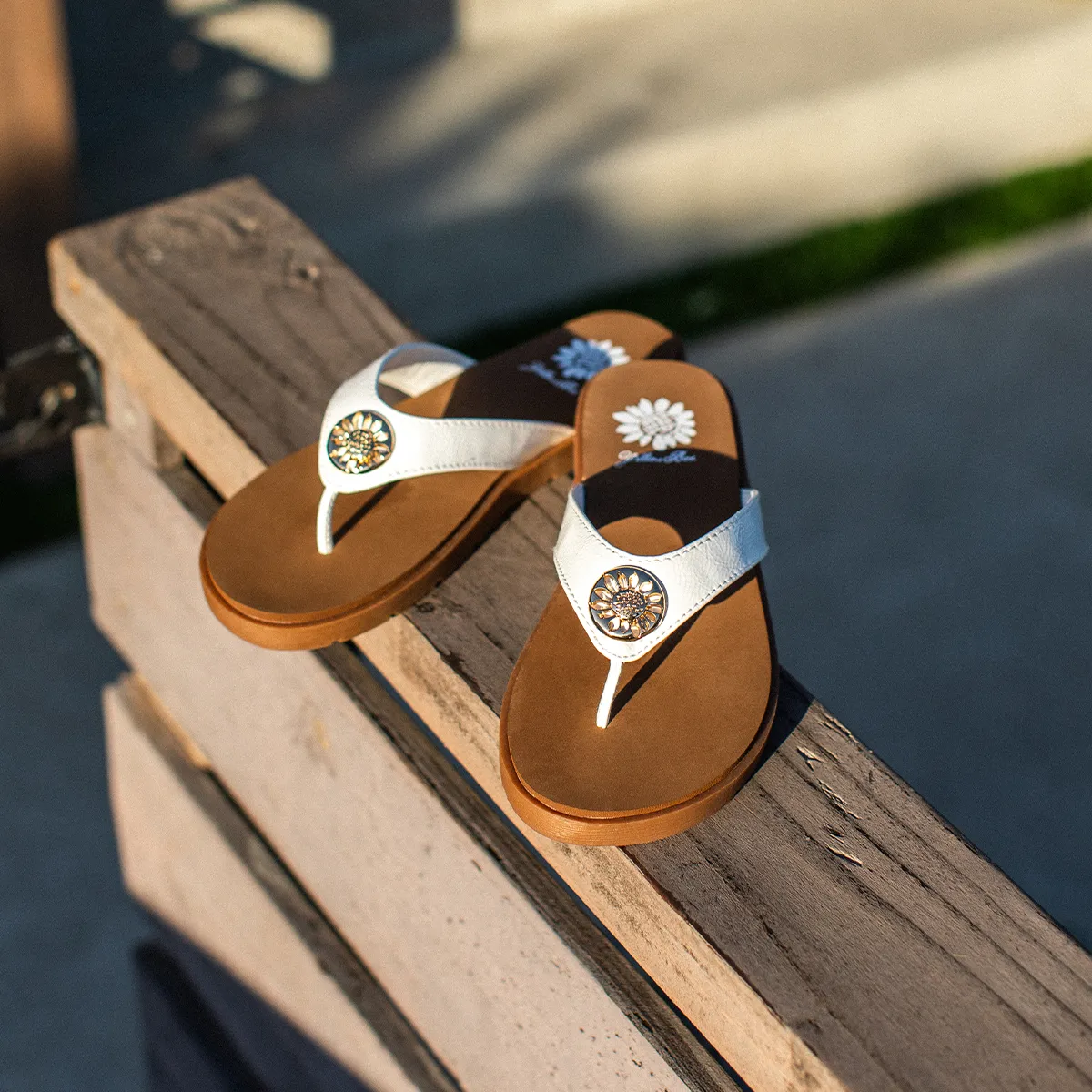 Fazania Flip Flop Sandal