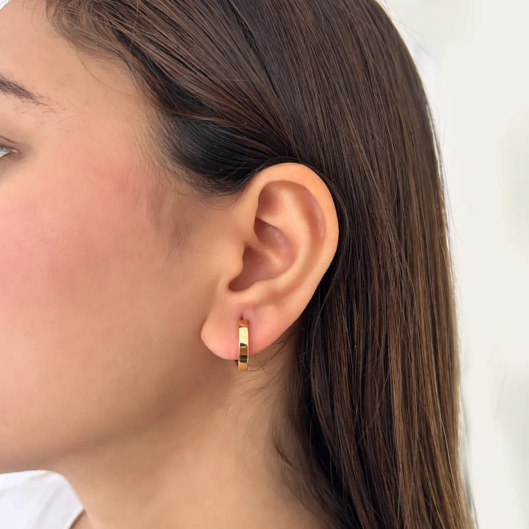 Flat Curvy Hoops