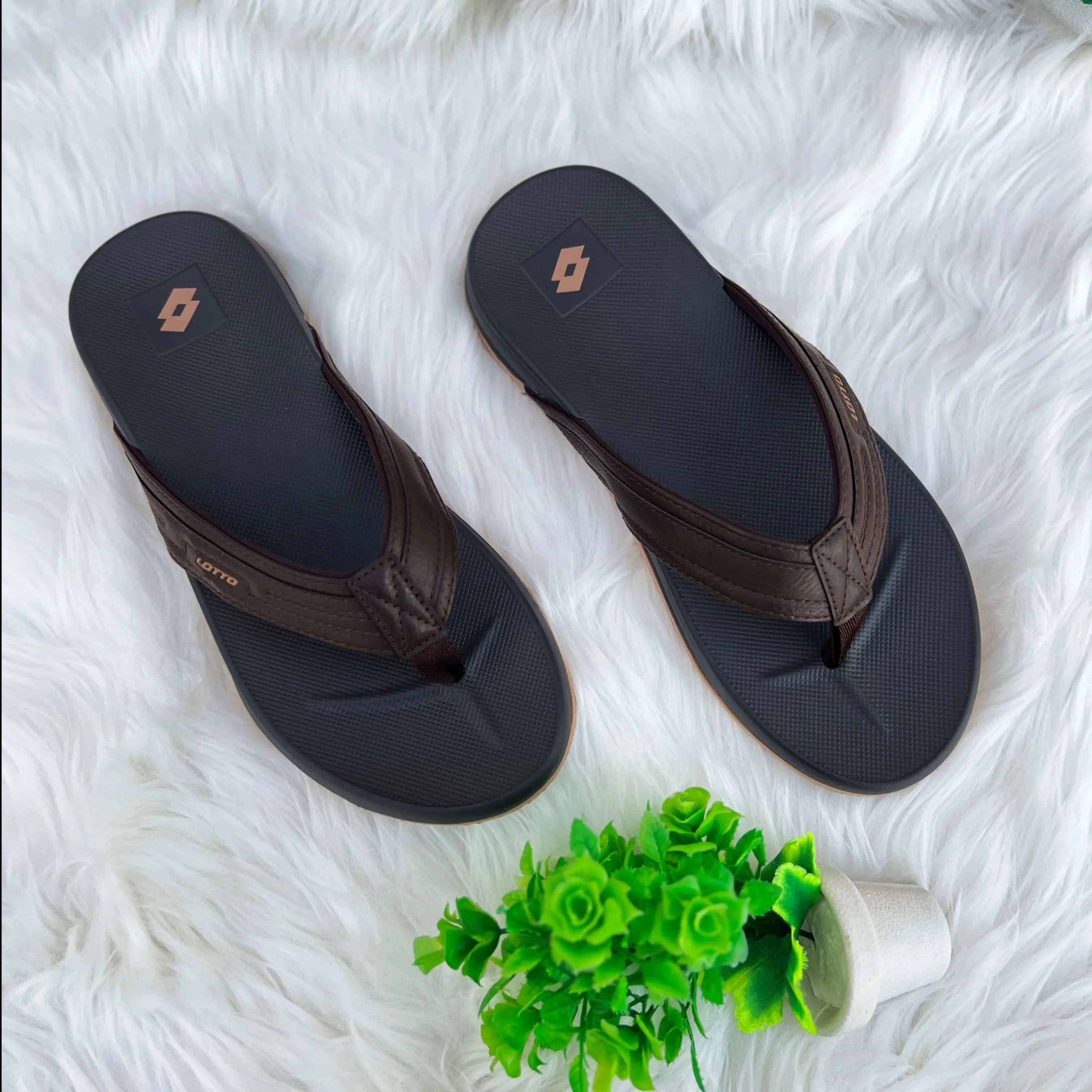 Flip Flop - LT8