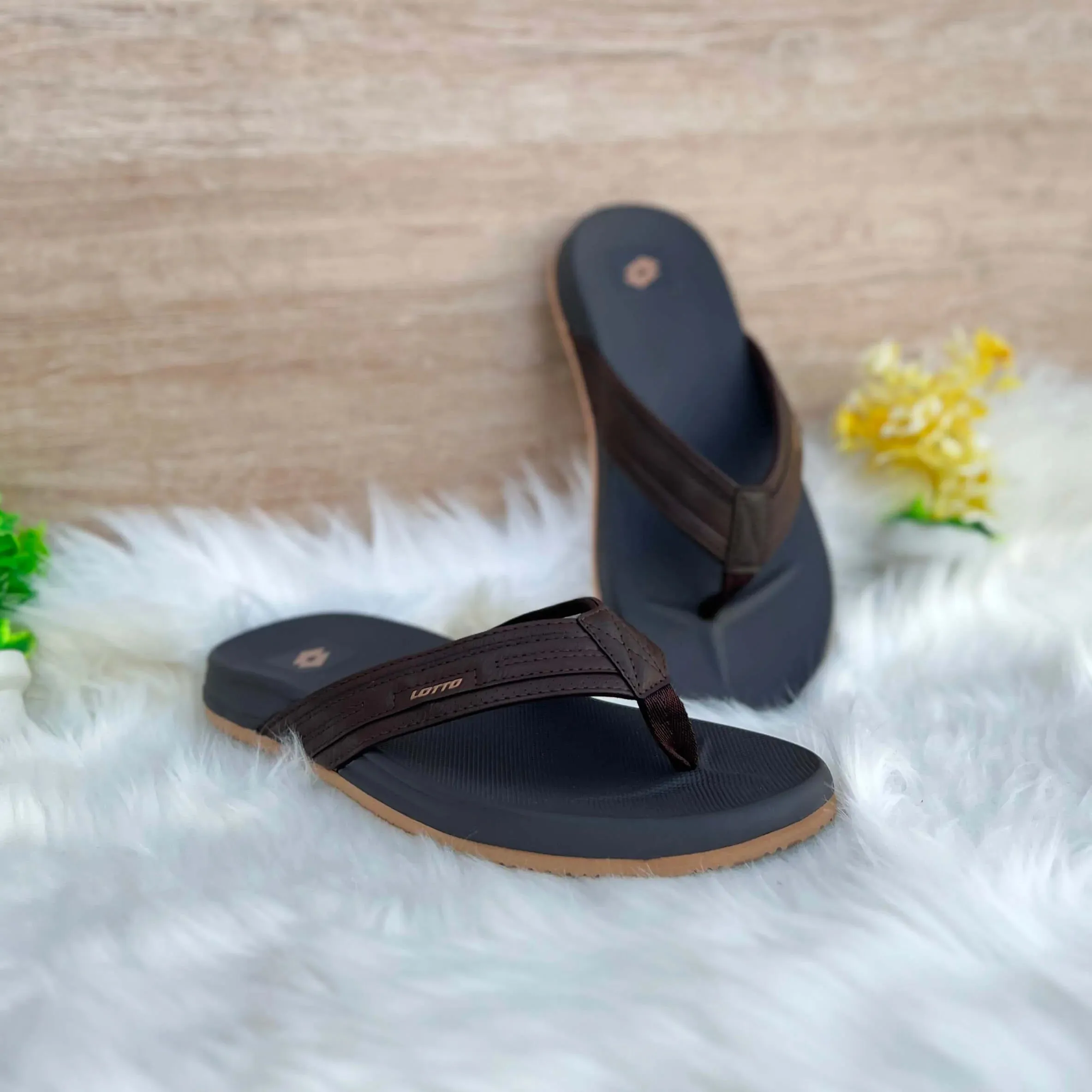 Flip Flop - LT8