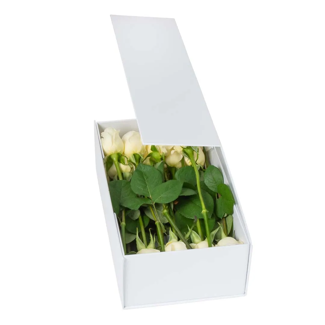 Hamper Box - Rectangle, Magnetic Closure Medium, Matt White