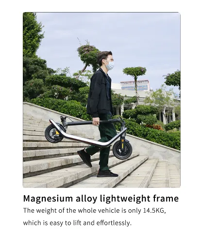 Intelligent Foldable E Scooter with Long Distance OEM Sale