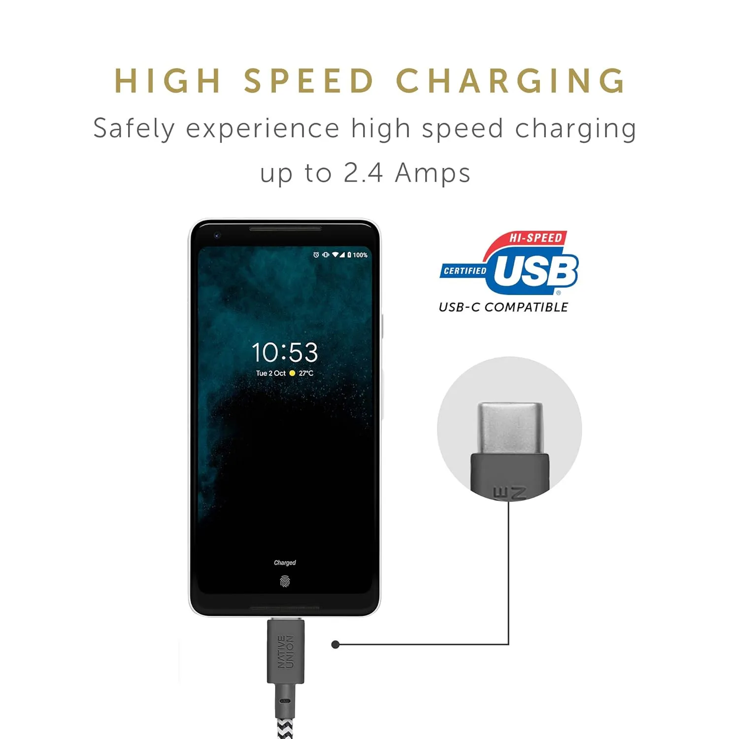 Native Union Belt Cable USB-C to USB-A - 4ft Ultra-Strong Charging Cable with Leather Strap Compatible with iPhone 16, Samsung Galaxy Z Fold 6, Flip 6 / S25 Ultra, Pixel 9 Pro, iPad Pro (Zebra)