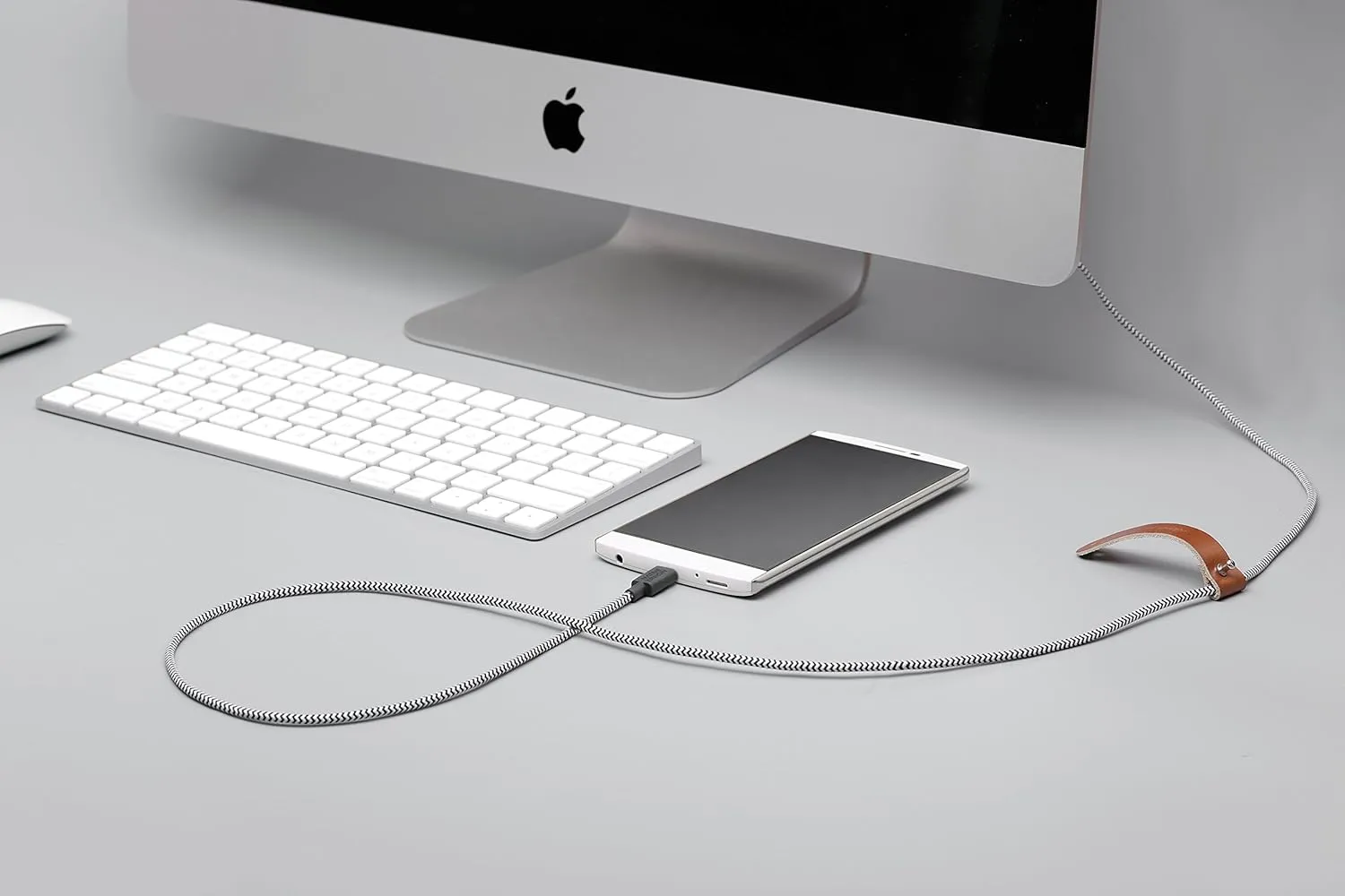 Native Union Belt Cable USB-C to USB-A - 4ft Ultra-Strong Charging Cable with Leather Strap Compatible with iPhone 16, Samsung Galaxy Z Fold 6, Flip 6 / S25 Ultra, Pixel 9 Pro, iPad Pro (Zebra)