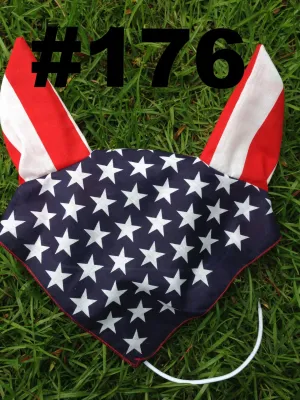 Patriotic Patterns