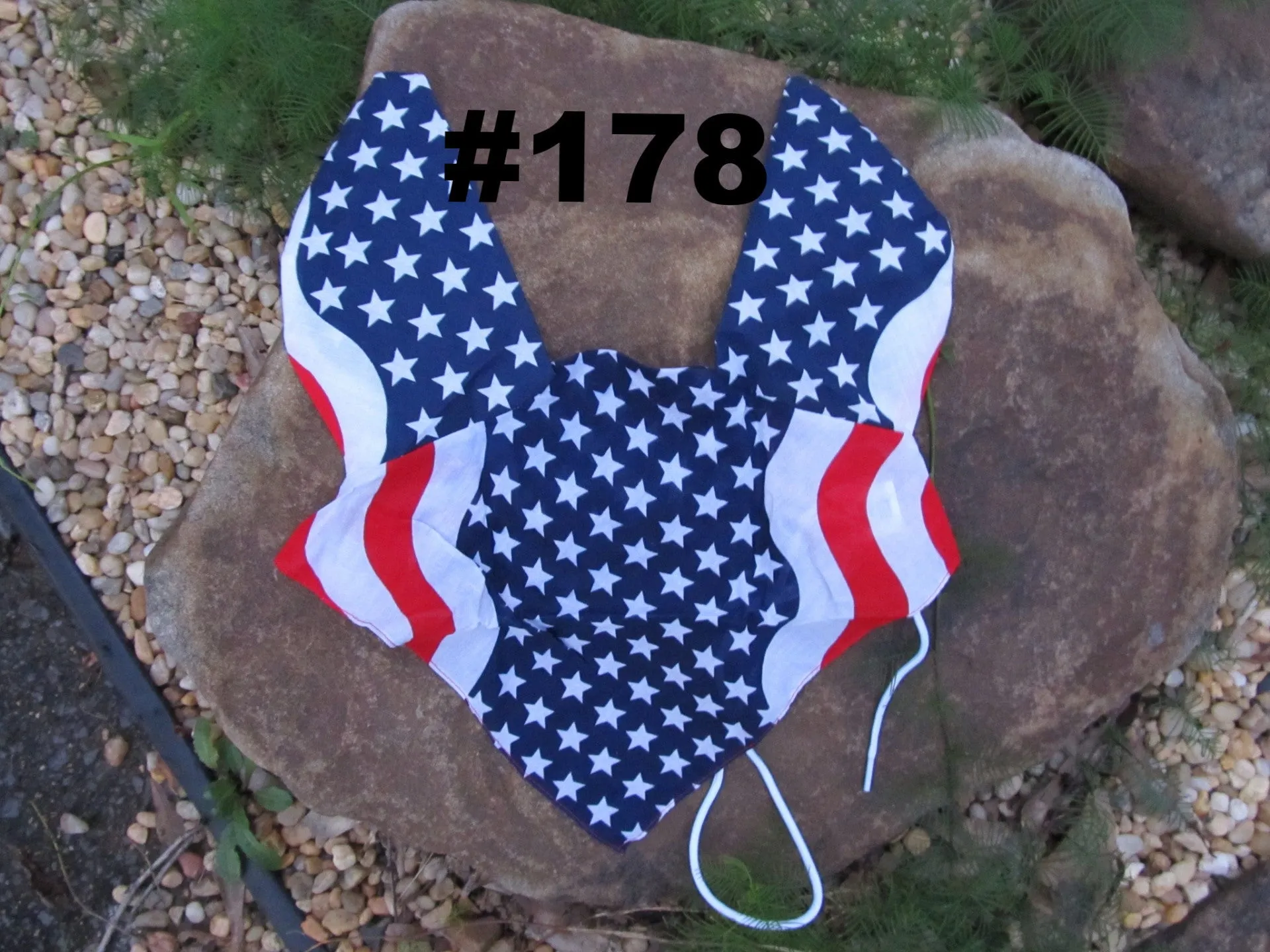 Patriotic Patterns
