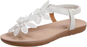 Stylish Women's Sandals Comfortable Flip Flops Casual Summer Thong Shoes Daily Wear Vacation Beach Design with
