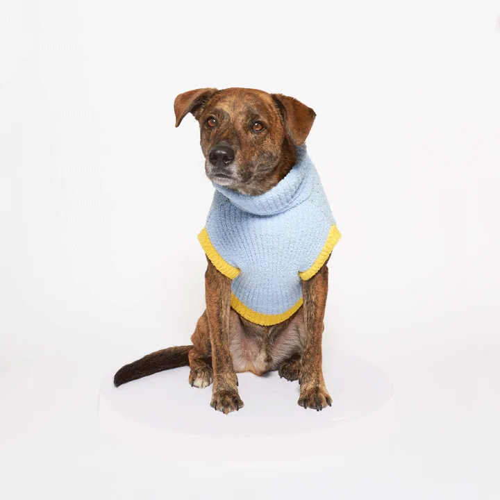 the furryfolks - Dog Bless Sweater