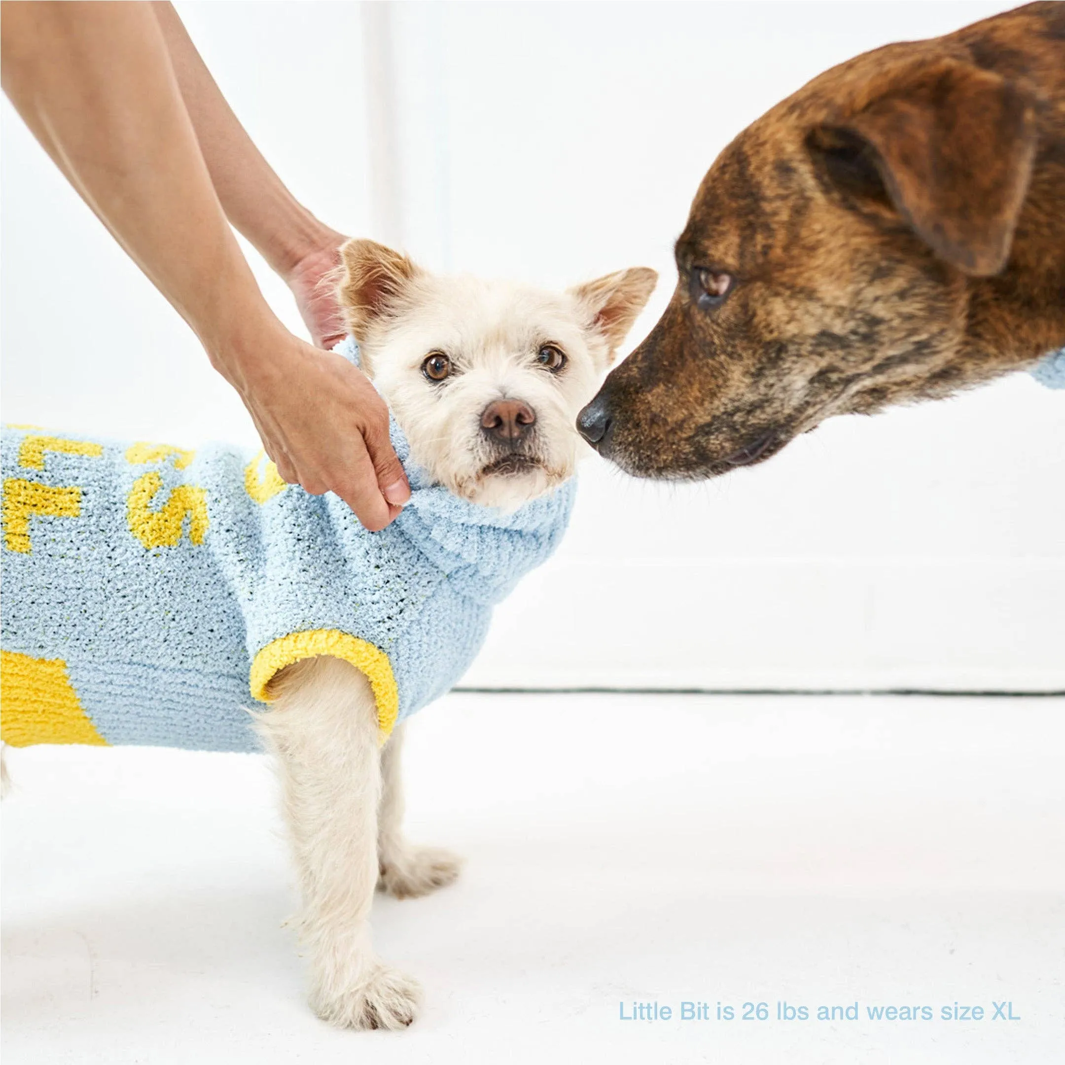 the furryfolks - Dog Bless Sweater