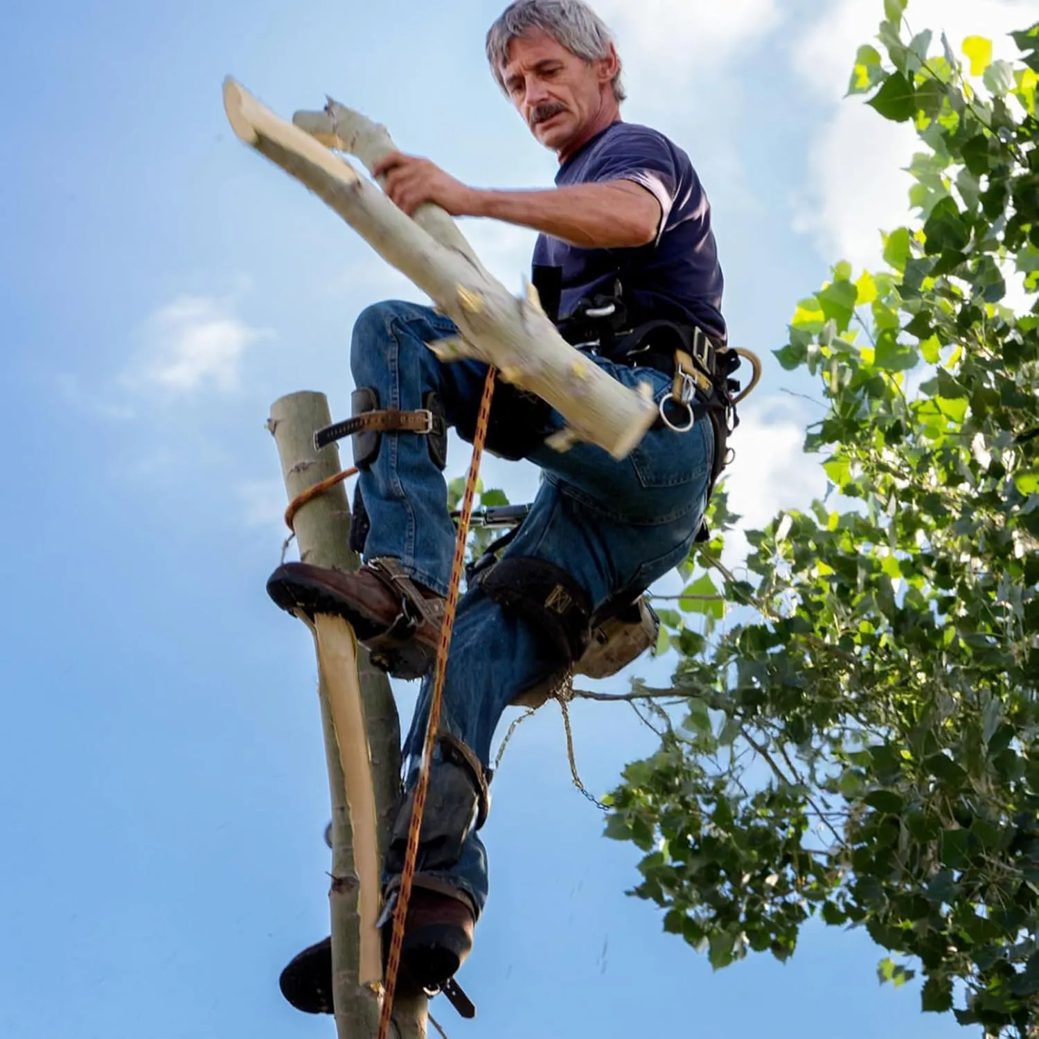 Tree Climbing Spikes,Tree Climbing Kit,Tree Climbing Gear,Suitable for Fruit Picking,Tree Climbing,Hunting