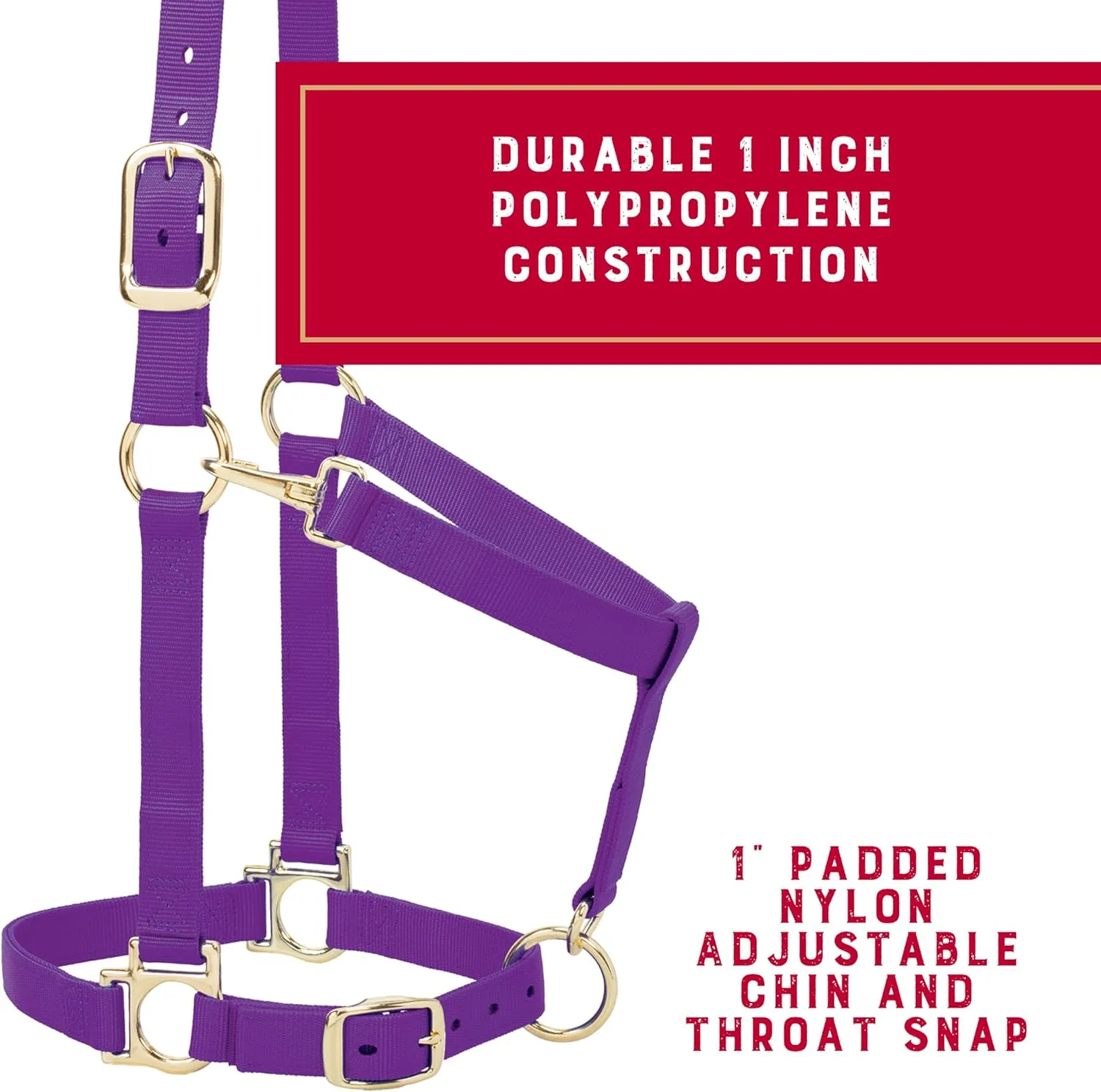 Weaver Leather Nylon Horse Halter, Padded and Adjustable, Chin and Throat Snap Hook Halters for Horses, Brass Plated Halters for Training