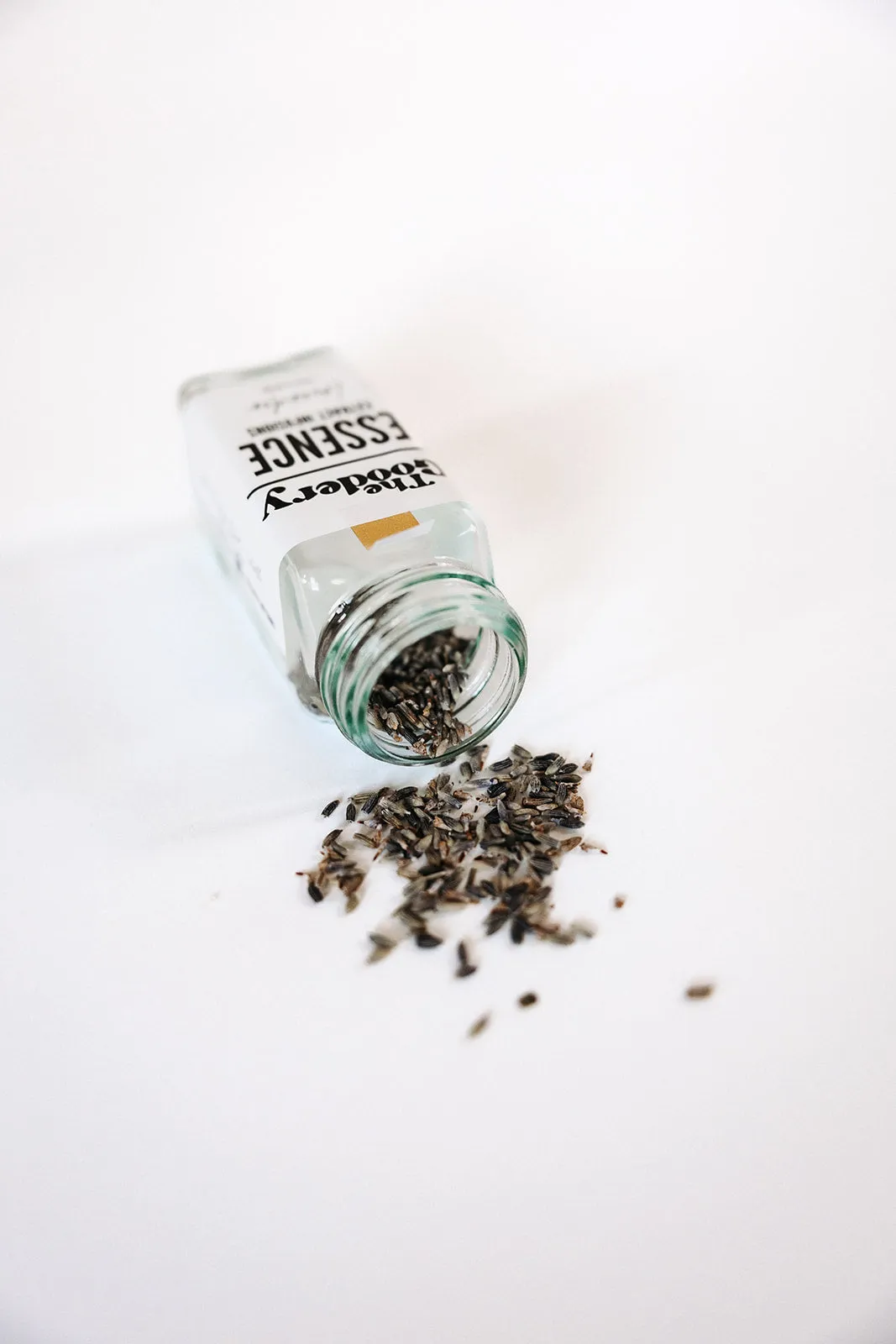 WHOLESALE -- ESSENCE EXTRACT INFUSION KITS